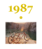 no2.png