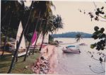 img_4.jpeg